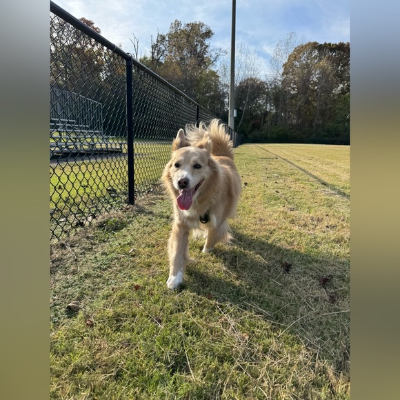 Meet your Posher, River! - Picture 9 of 16